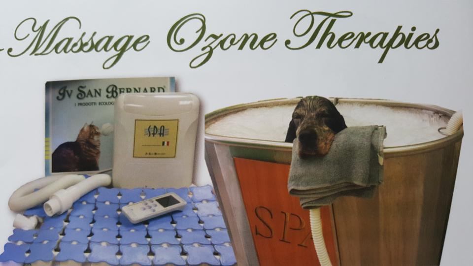 hydro massage therapy pets stockton