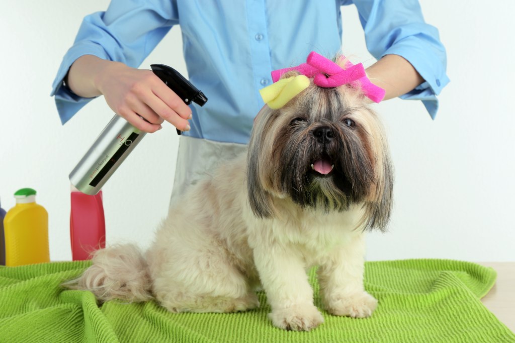 mobile groomer stockton